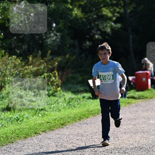 27.09.2026 - 35. Volkslauf durch das schöne Alstertal Dr. Thomas Lammeyer http://msf.ph/oto/10568551 27.09.2026 10:53:37 Laufen 4109 meine-sportfotos.de
