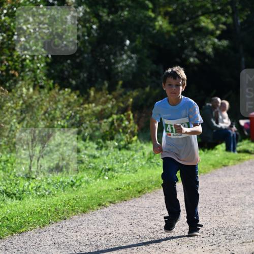 27.09.2026 - 35. Volkslauf durch das schöne Alstertal Dr. Thomas Lammeyer http://msf.ph/oto/10568554 27.09.2026 10:53:38 Laufen 41 meine-sportfotos.de