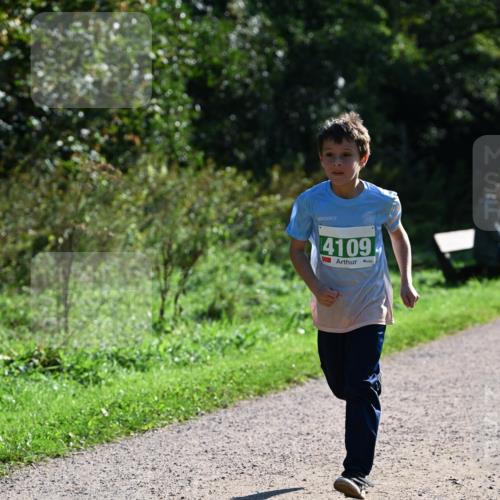 27.09.2026 - 35. Volkslauf durch das schöne Alstertal Dr. Thomas Lammeyer http://msf.ph/oto/10568557 27.09.2026 10:53:38 Laufen 4109 meine-sportfotos.de