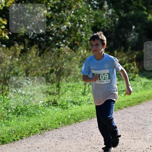 27.09.2026 - 35. Volkslauf durch das schöne Alstertal Dr. Thomas Lammeyer http://msf.ph/oto/10568560 27.09.2026 10:53:38 Laufen 09 meine-sportfotos.de