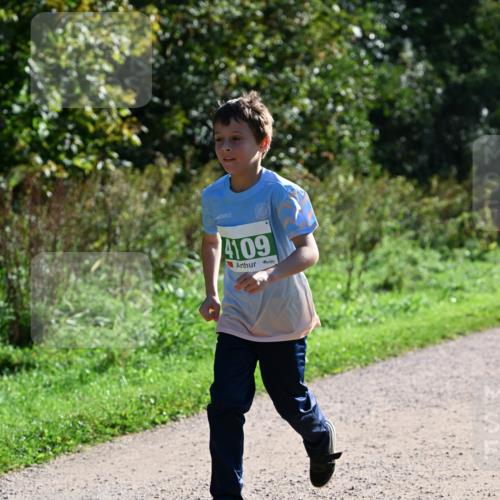 27.09.2026 - 35. Volkslauf durch das schöne Alstertal Dr. Thomas Lammeyer http://msf.ph/oto/10568563 27.09.2026 10:53:39 Laufen 4109 meine-sportfotos.de