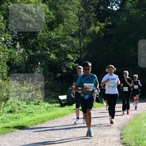 27.09.2026 - 35. Volkslauf durch das schöne Alstertal Dr. Thomas Lammeyer http://msf.ph/oto/10568575 27.09.2026 10:53:48 Laufen 24, 4234, 4111, 4185 meine-sportfotos.de