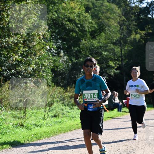 27.09.2026 - 35. Volkslauf durch das schöne Alstertal Dr. Thomas Lammeyer http://msf.ph/oto/10568583 27.09.2026 10:53:49 Laufen 4014, 1000, 4234 meine-sportfotos.de