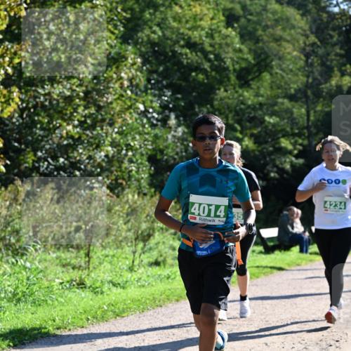 27.09.2026 - 35. Volkslauf durch das schöne Alstertal Dr. Thomas Lammeyer http://msf.ph/oto/10568585 27.09.2026 10:53:50 Laufen 4014, 35, 2000, 4234 meine-sportfotos.de