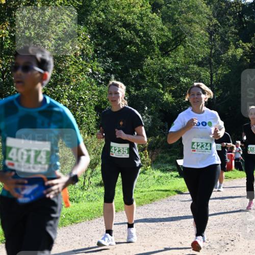 27.09.2026 - 35. Volkslauf durch das schöne Alstertal Dr. Thomas Lammeyer http://msf.ph/oto/10568588 27.09.2026 10:53:50 Laufen 4014, 4235, 4234, 165, 418 meine-sportfotos.de