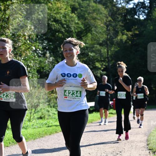 27.09.2026 - 35. Volkslauf durch das schöne Alstertal Dr. Thomas Lammeyer http://msf.ph/oto/10568592 27.09.2026 10:53:51 Laufen 4235, 9, 4234, 4185 meine-sportfotos.de