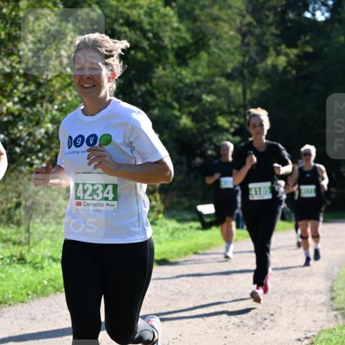27.09.2026 - 35. Volkslauf durch das schöne Alstertal Dr. Thomas Lammeyer http://msf.ph/oto/10568595 27.09.2026 10:53:52 Laufen 1900, 4234, 4185 meine-sportfotos.de