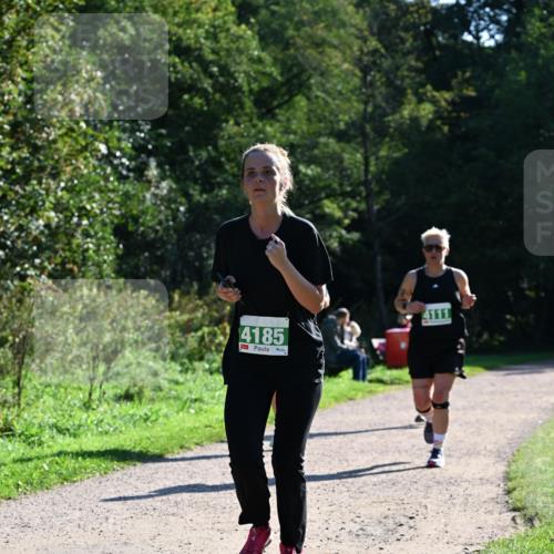 27.09.2026 - 35. Volkslauf durch das schöne Alstertal Dr. Thomas Lammeyer http://msf.ph/oto/10568599 27.09.2026 10:53:53 Laufen 4185, 4111 meine-sportfotos.de