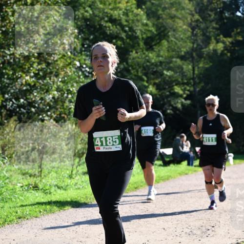 27.09.2026 - 35. Volkslauf durch das schöne Alstertal Dr. Thomas Lammeyer http://msf.ph/oto/10568602 27.09.2026 10:53:53 Laufen 4185, 4165 meine-sportfotos.de