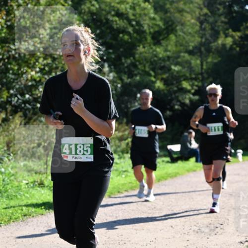 27.09.2026 - 35. Volkslauf durch das schöne Alstertal Dr. Thomas Lammeyer http://msf.ph/oto/10568604 27.09.2026 10:53:53 Laufen 4185, 4165 meine-sportfotos.de