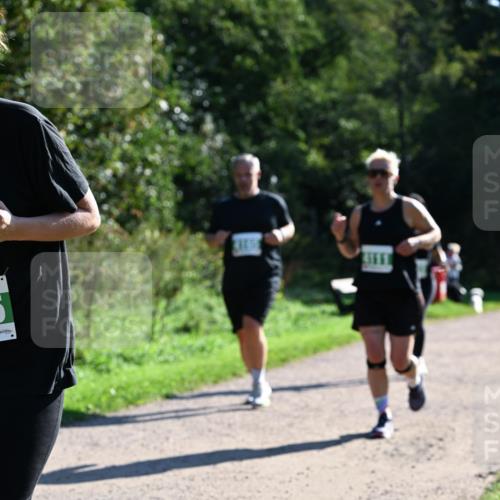 27.09.2026 - 35. Volkslauf durch das schöne Alstertal Dr. Thomas Lammeyer http://msf.ph/oto/10568607 27.09.2026 10:53:54 Laufen  meine-sportfotos.de
