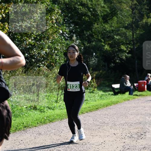 27.09.2026 - 35. Volkslauf durch das schöne Alstertal Dr. Thomas Lammeyer http://msf.ph/oto/10568616 27.09.2026 10:53:56 Laufen 4123 meine-sportfotos.de