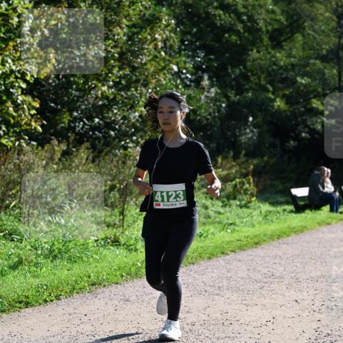 27.09.2026 - 35. Volkslauf durch das schöne Alstertal Dr. Thomas Lammeyer http://msf.ph/oto/10568618 27.09.2026 10:53:56 Laufen 4123 meine-sportfotos.de