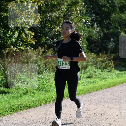 27.09.2026 - 35. Volkslauf durch das schöne Alstertal Dr. Thomas Lammeyer http://msf.ph/oto/10568620 27.09.2026 10:53:56 Laufen 4123 meine-sportfotos.de