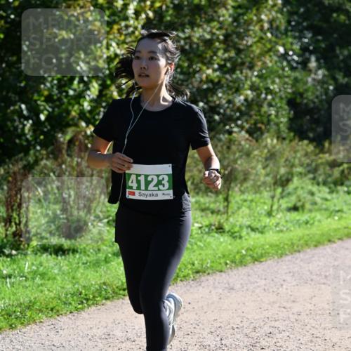 27.09.2026 - 35. Volkslauf durch das schöne Alstertal Dr. Thomas Lammeyer http://msf.ph/oto/10568623 27.09.2026 10:53:57 Laufen 4123 meine-sportfotos.de