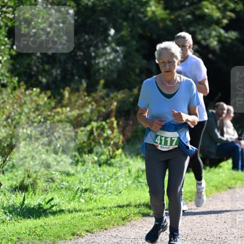 27.09.2026 - 35. Volkslauf durch das schöne Alstertal Dr. Thomas Lammeyer http://msf.ph/oto/10568648 27.09.2026 10:54:09 Laufen 4117 meine-sportfotos.de