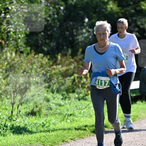 27.09.2026 - 35. Volkslauf durch das schöne Alstertal Dr. Thomas Lammeyer http://msf.ph/oto/10568650 27.09.2026 10:54:10 Laufen 4117 meine-sportfotos.de