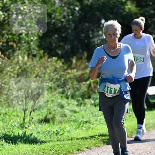 27.09.2026 - 35. Volkslauf durch das schöne Alstertal Dr. Thomas Lammeyer http://msf.ph/oto/10568651 27.09.2026 10:54:10 Laufen 4117, 159 meine-sportfotos.de