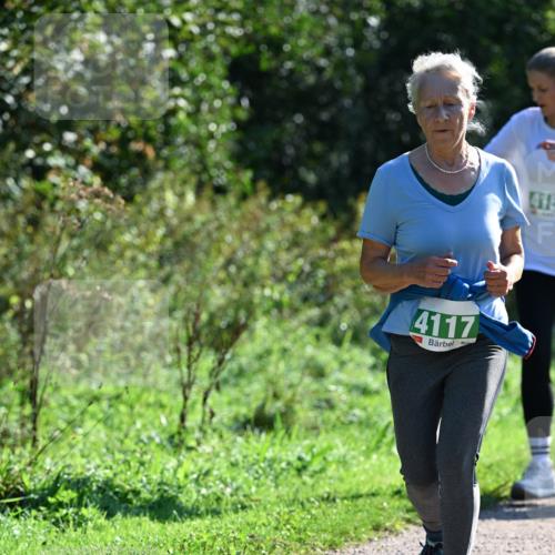27.09.2026 - 35. Volkslauf durch das schöne Alstertal Dr. Thomas Lammeyer http://msf.ph/oto/10568653 27.09.2026 10:54:10 Laufen 4117, 415, 2 meine-sportfotos.de