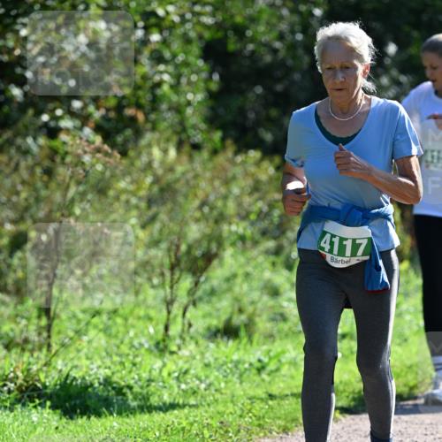 27.09.2026 - 35. Volkslauf durch das schöne Alstertal Dr. Thomas Lammeyer http://msf.ph/oto/10568654 27.09.2026 10:54:10 Laufen 4117, 415 meine-sportfotos.de