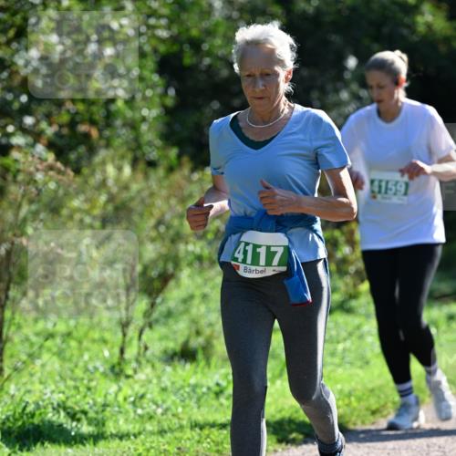 27.09.2026 - 35. Volkslauf durch das schöne Alstertal Dr. Thomas Lammeyer http://msf.ph/oto/10568655 27.09.2026 10:54:10 Laufen 4117, 4159 meine-sportfotos.de