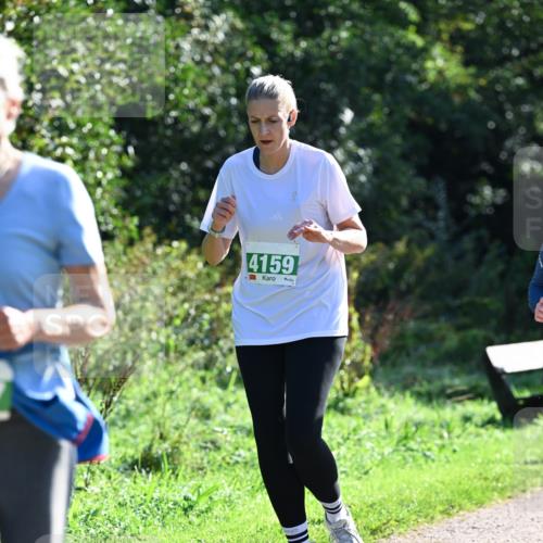 27.09.2026 - 35. Volkslauf durch das schöne Alstertal Dr. Thomas Lammeyer http://msf.ph/oto/10568657 27.09.2026 10:54:11 Laufen 4159 meine-sportfotos.de
