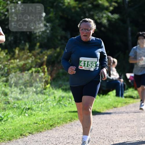 27.09.2026 - 35. Volkslauf durch das schöne Alstertal Dr. Thomas Lammeyer http://msf.ph/oto/10568659 27.09.2026 10:54:12 Laufen 4155 meine-sportfotos.de
