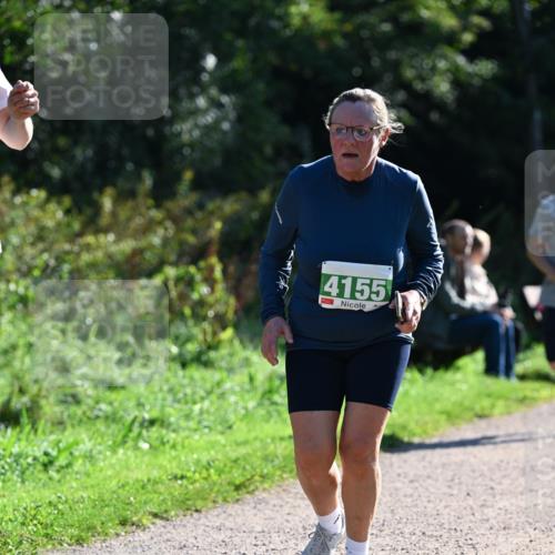 27.09.2026 - 35. Volkslauf durch das schöne Alstertal Dr. Thomas Lammeyer http://msf.ph/oto/10568660 27.09.2026 10:54:12 Laufen 4155 meine-sportfotos.de