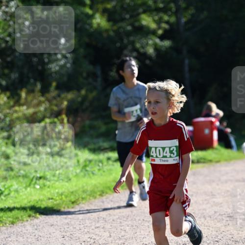 27.09.2026 - 35. Volkslauf durch das schöne Alstertal Dr. Thomas Lammeyer http://msf.ph/oto/10568670 27.09.2026 10:54:14 Laufen 4043 meine-sportfotos.de