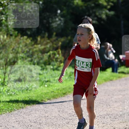 27.09.2026 - 35. Volkslauf durch das schöne Alstertal Dr. Thomas Lammeyer http://msf.ph/oto/10568672 27.09.2026 10:54:14 Laufen 4043 meine-sportfotos.de