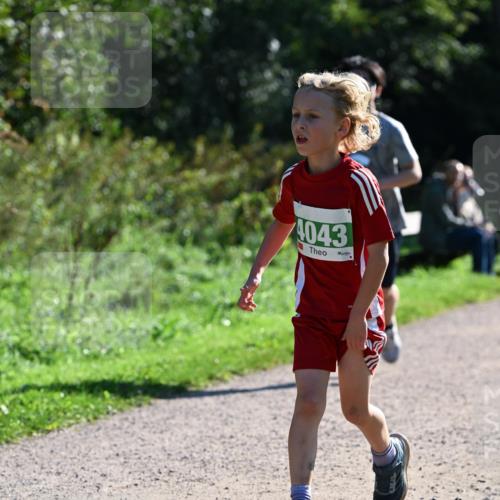 27.09.2026 - 35. Volkslauf durch das schöne Alstertal Dr. Thomas Lammeyer http://msf.ph/oto/10568673 27.09.2026 10:54:14 Laufen 4043 meine-sportfotos.de