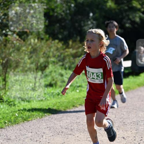 27.09.2026 - 35. Volkslauf durch das schöne Alstertal Dr. Thomas Lammeyer http://msf.ph/oto/10568674 27.09.2026 10:54:15 Laufen 4043 meine-sportfotos.de