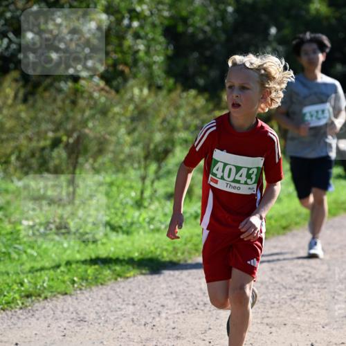 27.09.2026 - 35. Volkslauf durch das schöne Alstertal Dr. Thomas Lammeyer http://msf.ph/oto/10568676 27.09.2026 10:54:15 Laufen 4043, 4244 meine-sportfotos.de
