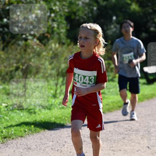 27.09.2026 - 35. Volkslauf durch das schöne Alstertal Dr. Thomas Lammeyer http://msf.ph/oto/10568677 27.09.2026 10:54:15 Laufen 4043 meine-sportfotos.de