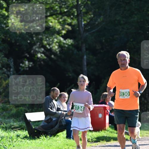 27.09.2026 - 35. Volkslauf durch das schöne Alstertal Dr. Thomas Lammeyer http://msf.ph/oto/10568704 27.09.2026 10:54:27 Laufen 4134, 4130 meine-sportfotos.de
