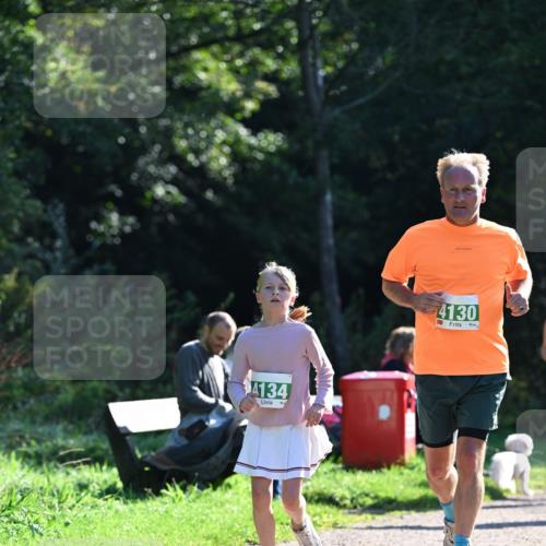 27.09.2026 - 35. Volkslauf durch das schöne Alstertal Dr. Thomas Lammeyer http://msf.ph/oto/10568706 27.09.2026 10:54:28 Laufen 4134, 4130 meine-sportfotos.de