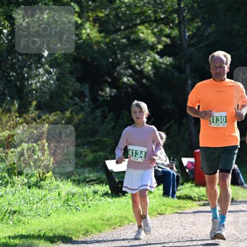 27.09.2026 - 35. Volkslauf durch das schöne Alstertal Dr. Thomas Lammeyer http://msf.ph/oto/10568711 27.09.2026 10:54:28 Laufen 4134, 4130 meine-sportfotos.de