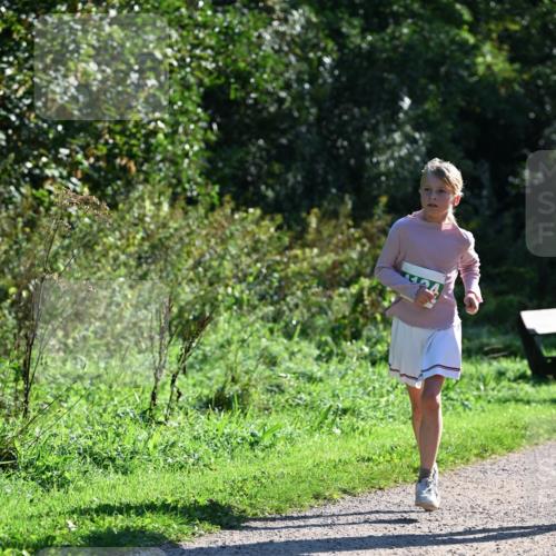 27.09.2026 - 35. Volkslauf durch das schöne Alstertal Dr. Thomas Lammeyer http://msf.ph/oto/10568723 27.09.2026 10:54:30 Laufen  meine-sportfotos.de