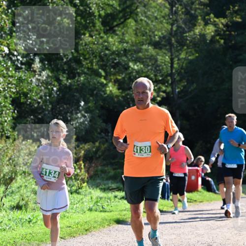 27.09.2026 - 35. Volkslauf durch das schöne Alstertal Dr. Thomas Lammeyer http://msf.ph/oto/10568727 27.09.2026 10:54:30 Laufen 4134, 4130 meine-sportfotos.de