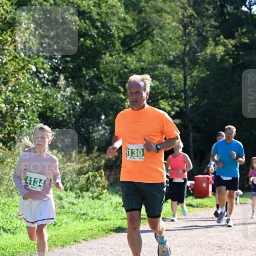 27.09.2026 - 35. Volkslauf durch das schöne Alstertal Dr. Thomas Lammeyer http://msf.ph/oto/10568731 27.09.2026 10:54:31 Laufen 4134, 130 meine-sportfotos.de