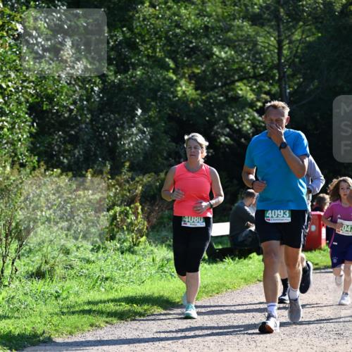27.09.2026 - 35. Volkslauf durch das schöne Alstertal Dr. Thomas Lammeyer http://msf.ph/oto/10568737 27.09.2026 10:54:33 Laufen 4080, 4093, 047 meine-sportfotos.de