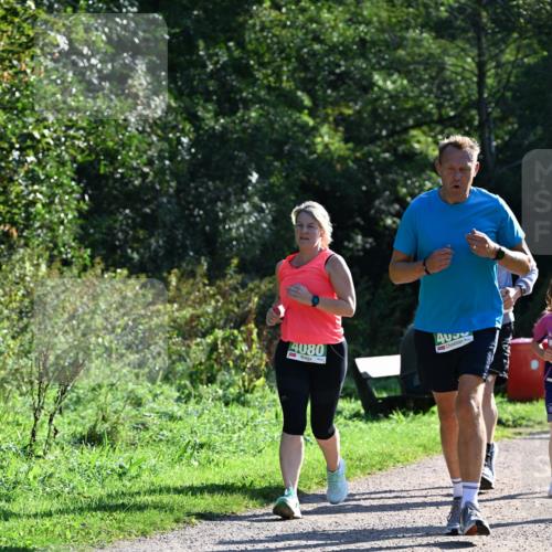 27.09.2026 - 35. Volkslauf durch das schöne Alstertal Dr. Thomas Lammeyer http://msf.ph/oto/10568740 27.09.2026 10:54:33 Laufen 4080 meine-sportfotos.de