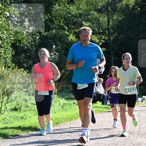 27.09.2026 - 35. Volkslauf durch das schöne Alstertal Dr. Thomas Lammeyer http://msf.ph/oto/10568745 27.09.2026 10:54:34 Laufen 4153 meine-sportfotos.de
