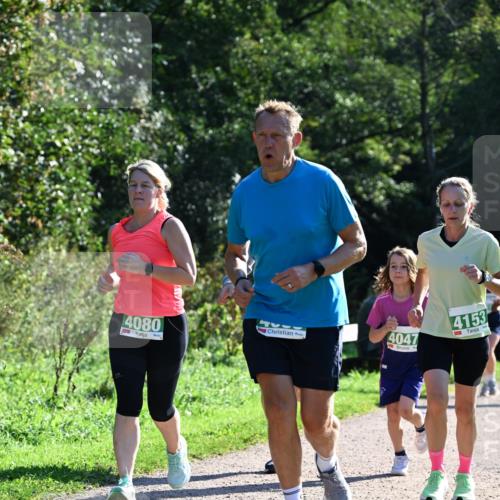27.09.2026 - 35. Volkslauf durch das schöne Alstertal Dr. Thomas Lammeyer http://msf.ph/oto/10568750 27.09.2026 10:54:34 Laufen 4080, 4047, 4153 meine-sportfotos.de