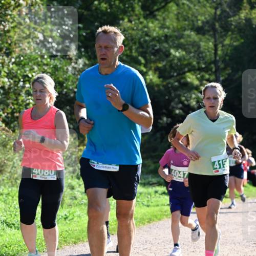 27.09.2026 - 35. Volkslauf durch das schöne Alstertal Dr. Thomas Lammeyer http://msf.ph/oto/10568755 27.09.2026 10:54:35 Laufen 4080, 4047, 415 meine-sportfotos.de