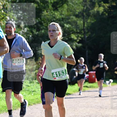 27.09.2026 - 35. Volkslauf durch das schöne Alstertal Dr. Thomas Lammeyer http://msf.ph/oto/10568763 27.09.2026 10:54:36 Laufen 4049, 4153 meine-sportfotos.de