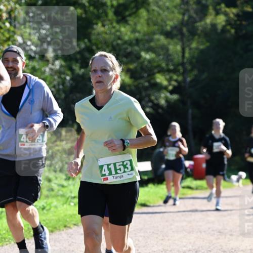 27.09.2026 - 35. Volkslauf durch das schöne Alstertal Dr. Thomas Lammeyer http://msf.ph/oto/10568764 27.09.2026 10:54:36 Laufen 4153 meine-sportfotos.de