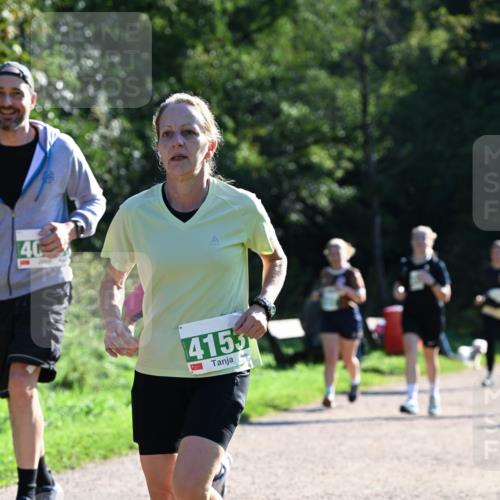 27.09.2026 - 35. Volkslauf durch das schöne Alstertal Dr. Thomas Lammeyer http://msf.ph/oto/10568765 27.09.2026 10:54:36 Laufen 40, 4153 meine-sportfotos.de
