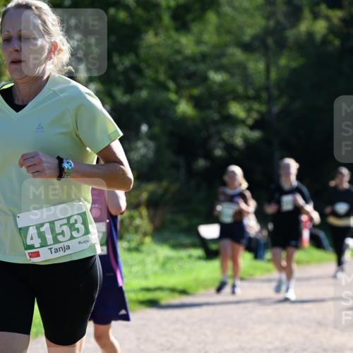 27.09.2026 - 35. Volkslauf durch das schöne Alstertal Dr. Thomas Lammeyer http://msf.ph/oto/10568771 27.09.2026 10:54:37 Laufen 4153 meine-sportfotos.de