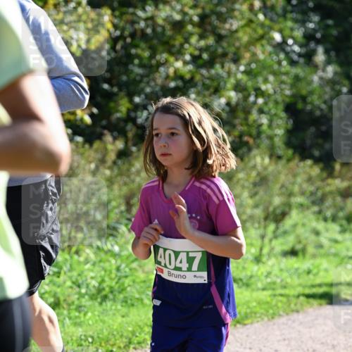 27.09.2026 - 35. Volkslauf durch das schöne Alstertal Dr. Thomas Lammeyer http://msf.ph/oto/10568774 27.09.2026 10:54:37 Laufen 14047 meine-sportfotos.de